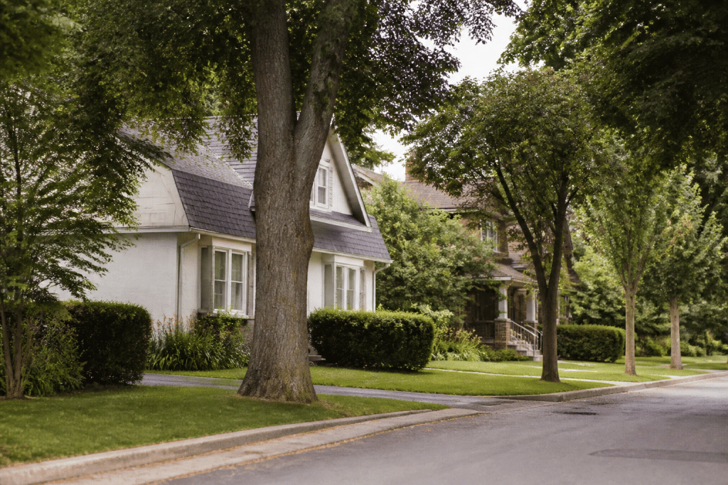 Maisons individuelles entre arbres et rue calme
