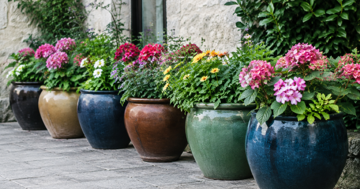 Vases volumineux supportant plantes multicolores rangees en ligne